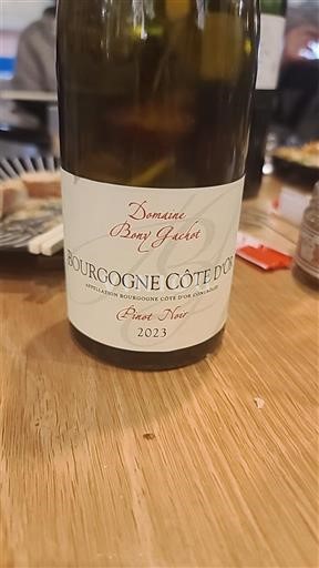 Burgundy Burgundy Côte d'Or Domaine Bony Gachot 2023