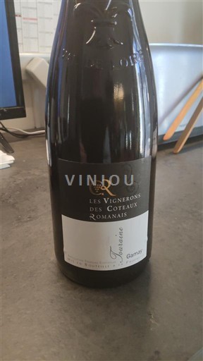 Dolina Loare Touraine Les Vignerons des Coteaux Romanais 2016