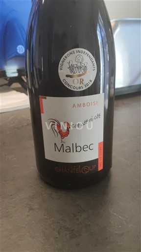 Loire-dalen Touraine-Amboise Chanteloup Côt Côt Ri Côt 2016
