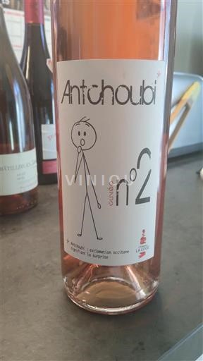 Sydvestfrankrig Fronton Château La Loge Antchoubi 2020