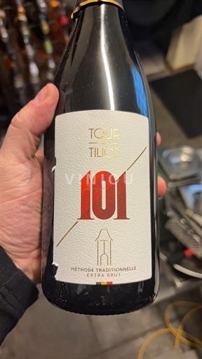 Zuidwest-Frankrijk Côtes de Gascogne Domaine La Tour Tilh 101 2021