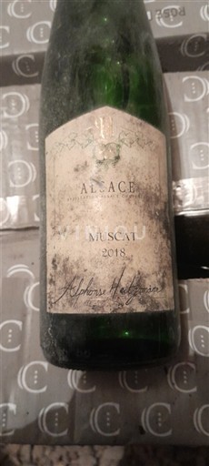 Alzacija Alphonse Hertzog 2018