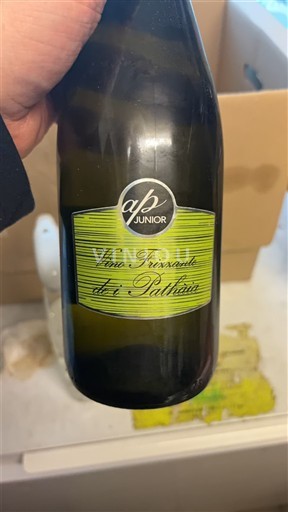 Piemont Nicht spezifiziert Pathria Junior Ohne Jahrgang