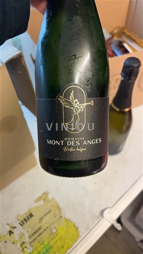 Valonia Domaine Mont des Anges Bulles Italiennes 2021