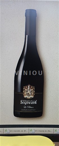 Loire Valley Saumur-Champigny Domaine La Seigneurie Le Vilbaux 2024