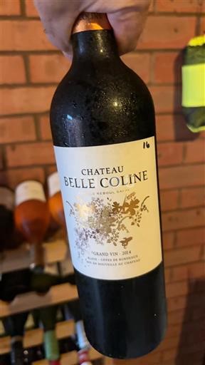 Burdeos Bordeaux superior Château Belle Coline 2014