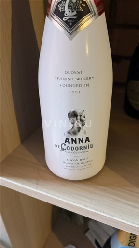 Katalonija Cava Codorníu Anna de Codorníu Neleten.