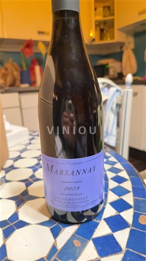 Burgundy Marsannay Domaine Sylvain Pataille 2023