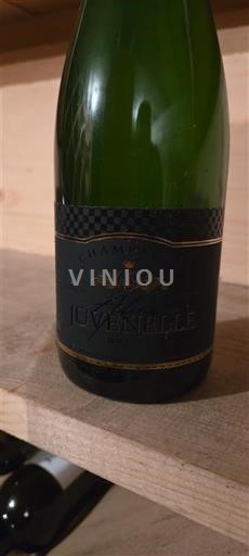 Champaña Champán Juvenille Sin añada