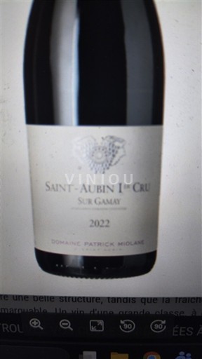 Burgundy Saint-Aubin Premier Cru Domaine Patrick Miolane Sur Gamay 2022