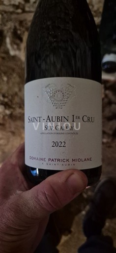 Burgundsko Saint-Aubin Premier Cru Domaine Patrick Miolane Sur Gamay 2022