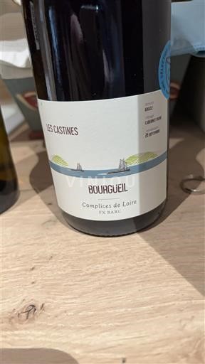 Vina Rouge sec Les Castines Complices de Loire Non millésimé Francija Dolina Loare Bourgueil AOC