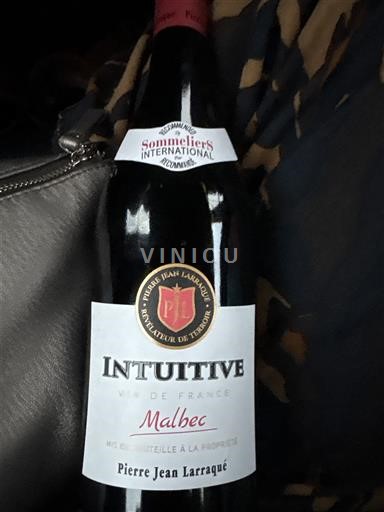 Southwest Not Specified Pierre Jean Larraqué Intuitive 2020