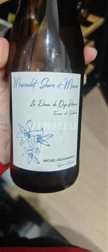 Vallée de la Loire Muscadet-sèvre-et-maine Michel Delhommeau La Divatte de Ogné Hervé - Terre de Gabbro Non Millésimé
