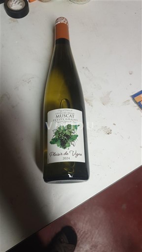 Alsace Plaisir de Vigne 2022