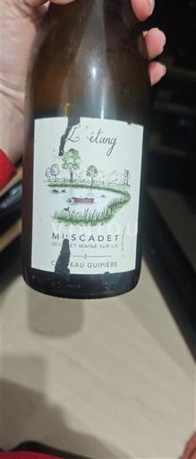 Valle del Loira No especificado Château Guipière L'Étang Sin añada