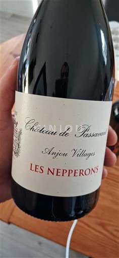 Vale do Loire Anjou Villages Château Passavant Les Nepperons 2019