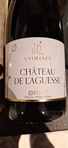 Wallonie Château L'Aguessé Les Sarments Non Millésimé