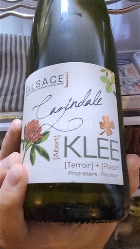 Elsass Albert Klee Cazindale 2022