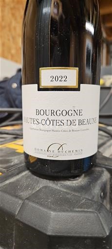 Bourgogne Ikke specificeret Domaine Chemin 2022