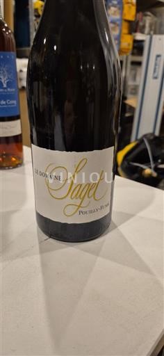 Loire Valley Pouilly-fumé Domaine Saget 2013