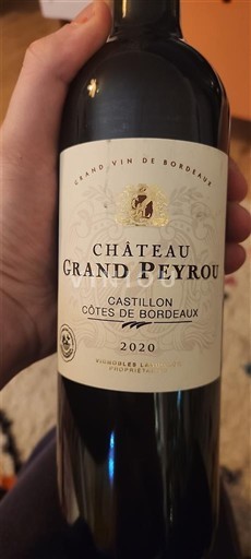 Bordeaux Castillon-côtes-de-bordeaux Château Grand Peyrou 2020