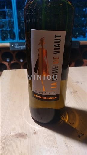 Burdeos Bordeaux La Dame de Viau Marion Sin añada