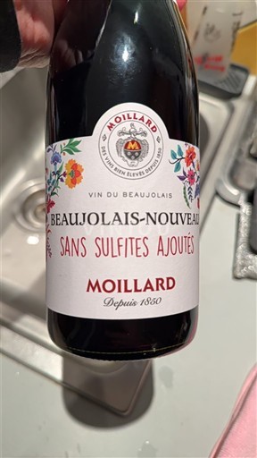 Beaujolais Beaujolais Nouveau Moillard Sans Sulfites Ajoutés 2025