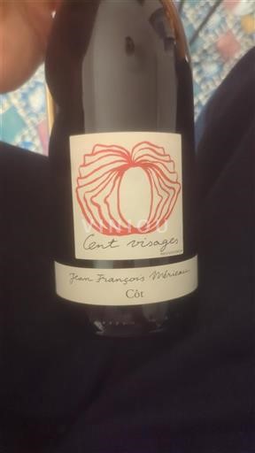 Dolina Loare Touraine Jean François Merieau Cent visages 2022