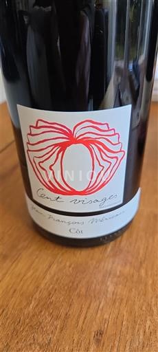 Вина Rouge sec Cent visages Jean François Merieau 2022 Francuska Dolina Loare Турен AOC