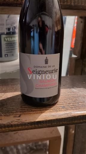 Loire Valley Saumur-Champigny Domaine La Seigneurie 2023