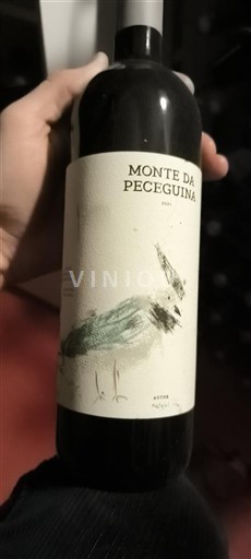 Alentejo Monte da Peceguina 2021
