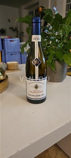 Borgonha Borgonha Chardonnay Bouchard Aîné & Fils Grand Conseiller 2024
