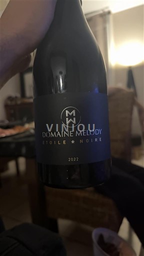 Рона долина Кроз-Ермитаж Domaine Melody Étoile Noire 2022