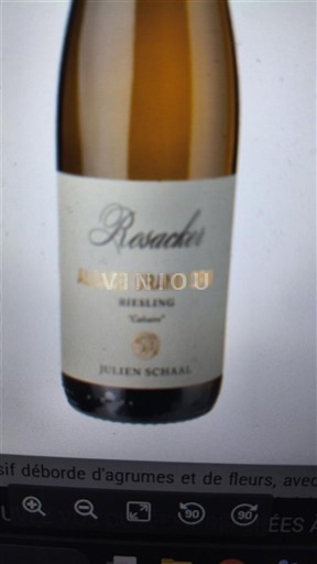 Alsace Alsace Grand Cru Grand Cru Julien Schaal Rosacker 2024