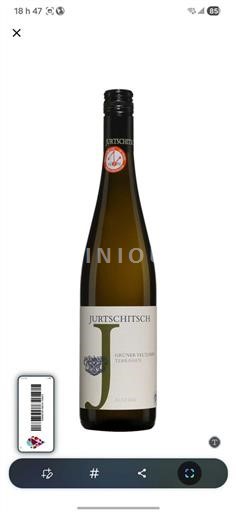 Niederösterreich Kamptal DAC Jurtschitsch Grüner Veltliner Terrassen 2024