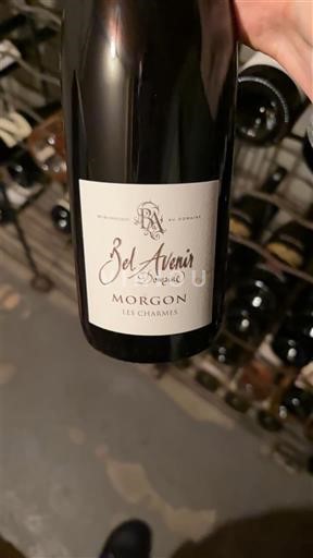 Beaujolais Morgon Bel Avenir Les Charmes 2020