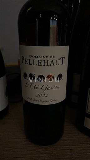 Jugozahod Côtes de Gascogne Domaine Pellehaut L'Eté Gascon 2024