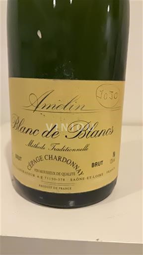 Burgundsko Crémant de Bourgogne Amelin Blanc de Blancs Neročník