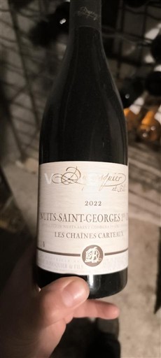 Borgoña Nuits-Saint-Georges Premier Cru Domaine Celle et Fils Les Chaines Carteaux 2022
