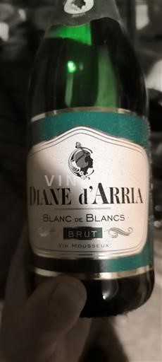 Languedoque Não especificado Diane d'Arria Blanc de Blancs Não Sazonado