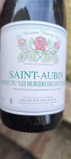 Borgogna Saint-Aubin Premier Cru Gilles Bouton & Fils Premier Cru Les Murgers des Dents de Chien 2022
