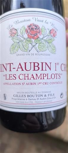 Borgogna Saint-Aubin Premier Cru Gilles Bouton & Fils Les Champlots 2020