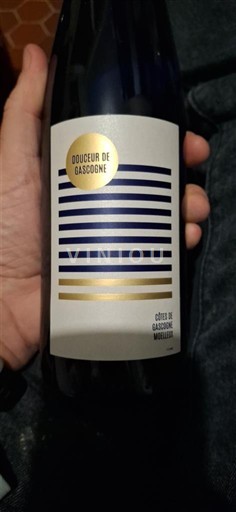 Sudoeste Côtes de Gascogne Douceur de Gascogne Sin añada