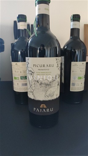 Apulien Ikke specificeret Pajaru Picuraru 2024