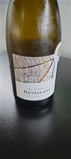 Aquitaine en Charentes Charentais Île d'Oléron Résistant 2024