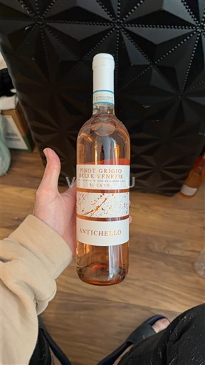 Veneto Not Specified Antichello 2024