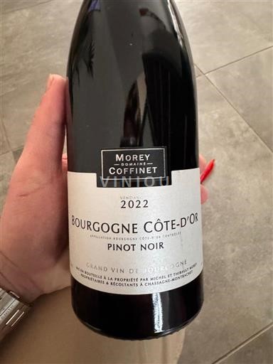 Bourgondië Bourgogne Côte d'Or Domaine Morey Coffinet Pinot Noir 2022
