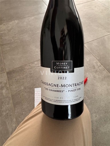 Borgoña Chassagne-Montrachet Morey Coffinet Les Chambres - Pinot Fin 2022