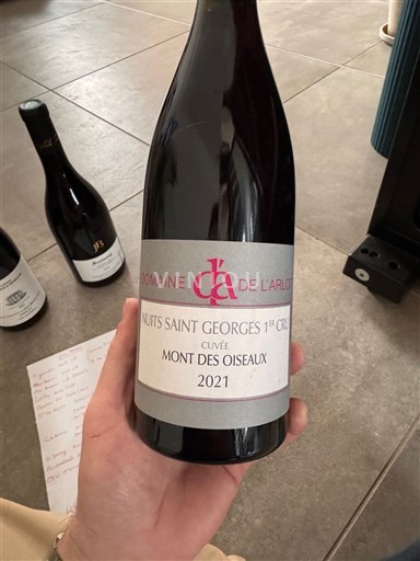 Borgogna Nuits-Saint-Georges Premier Cru Domaine L'Arlot Mont des Oiseaux 2021